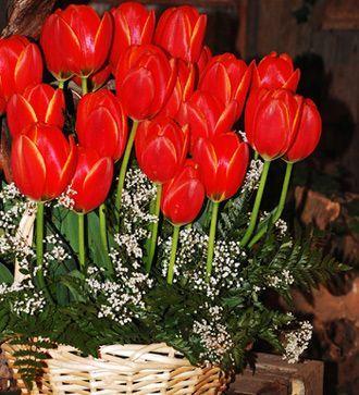 Imagine atasata: monthly_11_2012/post-212-1354001774172.jpg