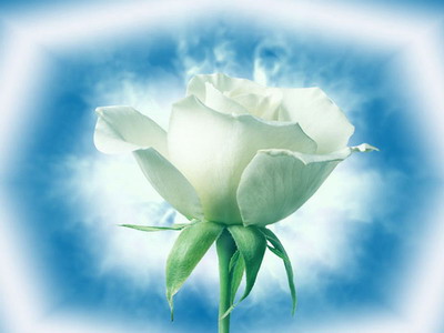 Imagine atasata: monthly_11_2012/post-685-13540908624544.jpg