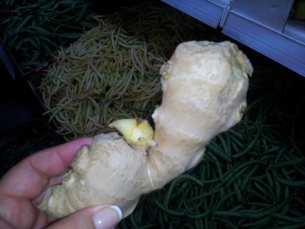 Imagine atasata: monthly_11_2013/post-243-13838957586237.jpg