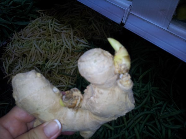 Imagine atasata: monthly_11_2013/post-243-13838957667786.jpg