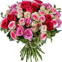 Imagine atasata: monthly_11_2014/post-16-14170665786845.jpg