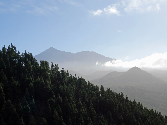 Imagine atasata: monthly_11_2015/post-27-14486874001729.jpg