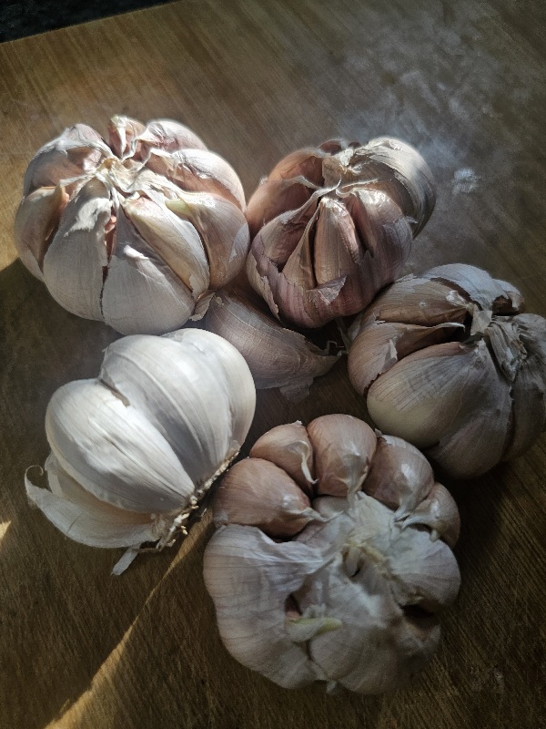 Imagine atasata: monthly_11_2025/post-591-0-27469500-1762452887.jpg