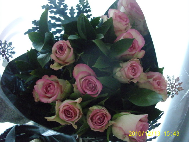 Imagine atasata: monthly_12_2010/post-16-1292394663698.jpg