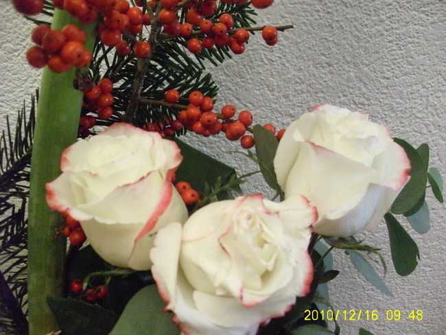 Imagine atasata: monthly_12_2010/post-16-12926606640668.jpg