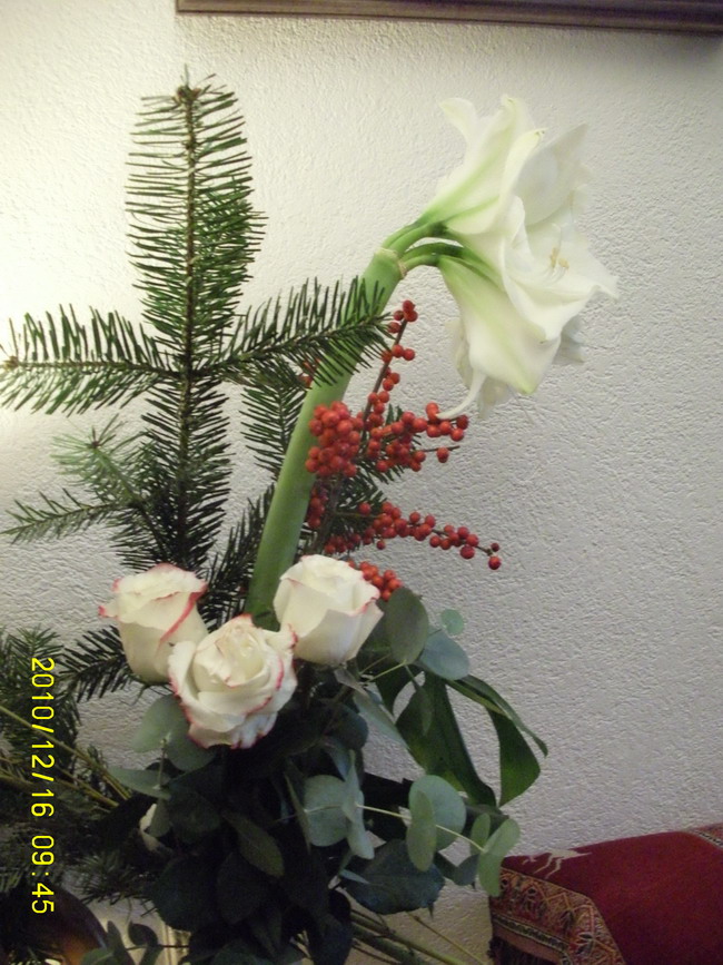 Imagine atasata: monthly_12_2010/post-16-12932288745327.jpg
