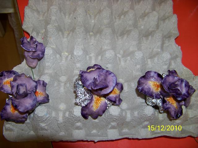 Imagine atasata: monthly_12_2010/post-404-12926996597524.jpg