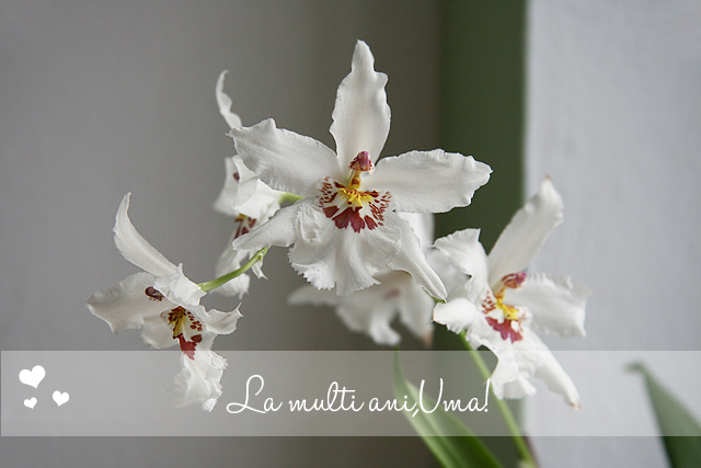 Imagine atasata: monthly_12_2010/post-5-12921669463556.jpg