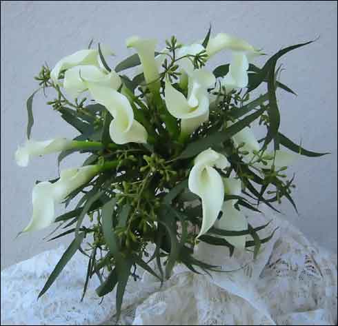 Imagine atasata: monthly_12_2010/post-73-1292142004087.jpg