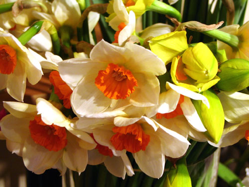 Imagine atasata: monthly_12_2010/post-73-12927477565291.jpg