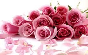 Imagine atasata: monthly_12_2011/post-162-13237129673196.jpg