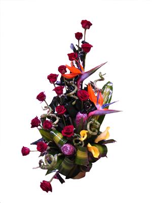 Imagine atasata: monthly_12_2011/post-508-13250153515145.jpg