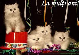 Imagine atasata: monthly_12_2011/post-685-13236802345055.jpg