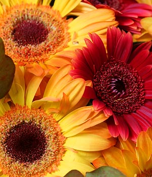 Imagine atasata: monthly_12_2011/post-84-13236952370746.jpg