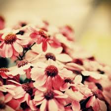 Imagine atasata: monthly_12_2011/post-84-13242949703949.jpeg