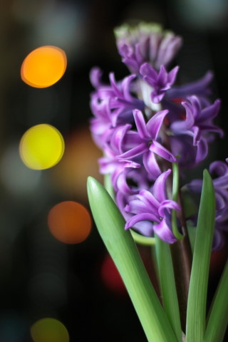 Imagine atasata: monthly_12_2011/post-9-13238705951701.jpg