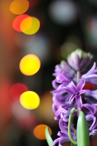 Imagine atasata: monthly_12_2011/post-9-13238706266865.jpg