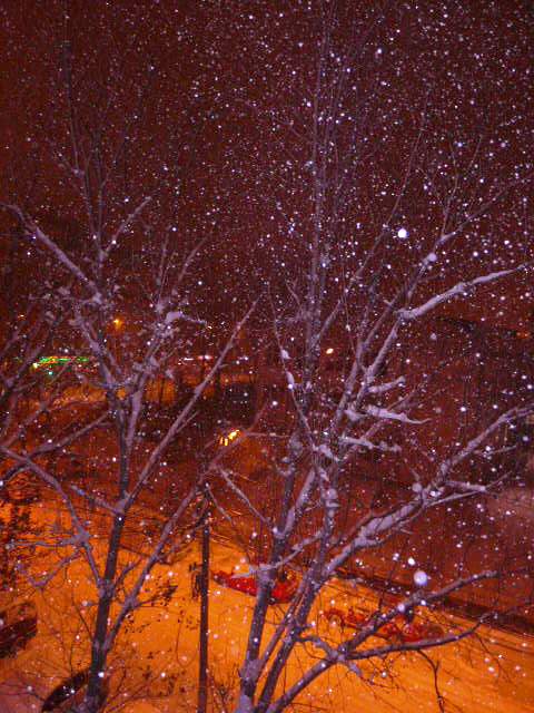 Imagine atasata: monthly_12_2012/post-115-13553402199648.jpg