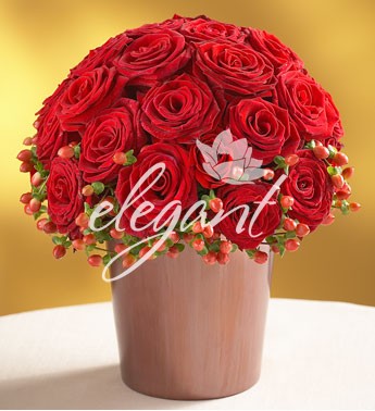 Imagine atasata: monthly_12_2012/post-42-13558290001997.jpg