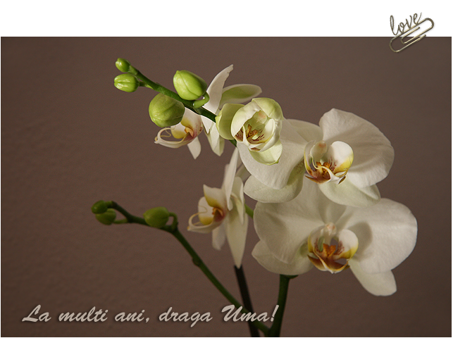 Imagine atasata: monthly_12_2012/post-5-13552708459316.png