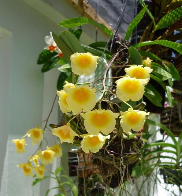 Imagine atasata: monthly_12_2012/post-802-13552951016349.jpg