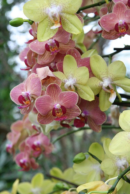 Imagine atasata: monthly_12_2012/post-86-13553412127337.jpg