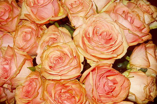 Imagine atasata: monthly_12_2013/post-405-13870356647365.jpg