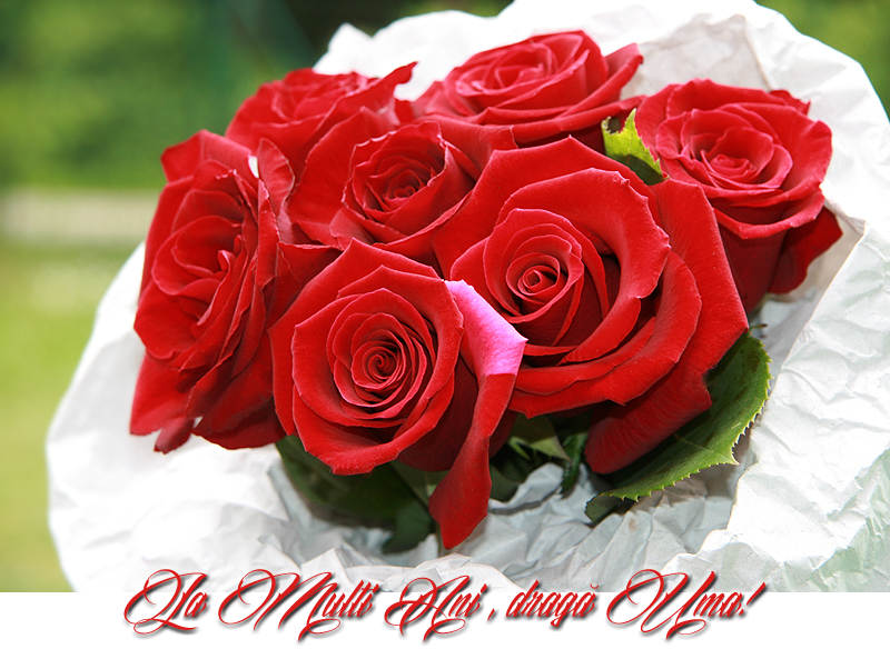 Imagine atasata: monthly_12_2013/post-5-13868041435958.png