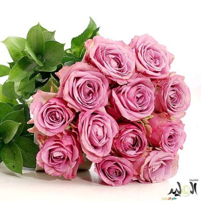 Imagine atasata: monthly_12_2014/post-405-14183868226127.jpg