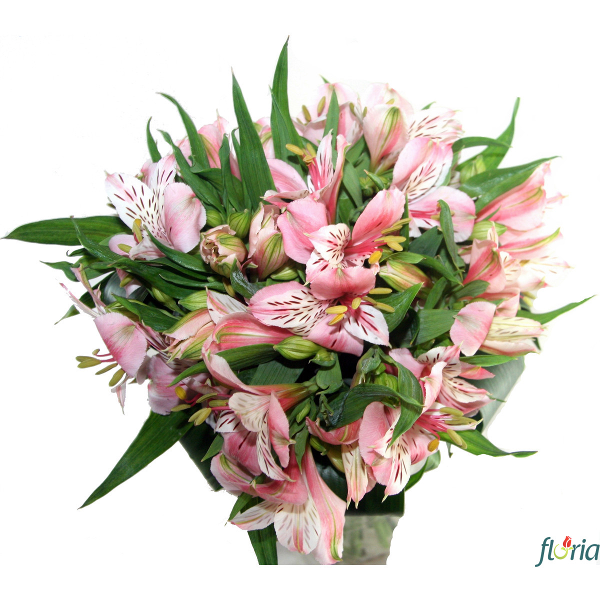 Imagine atasata: monthly_12_2014/post-42-14189869572296.jpeg