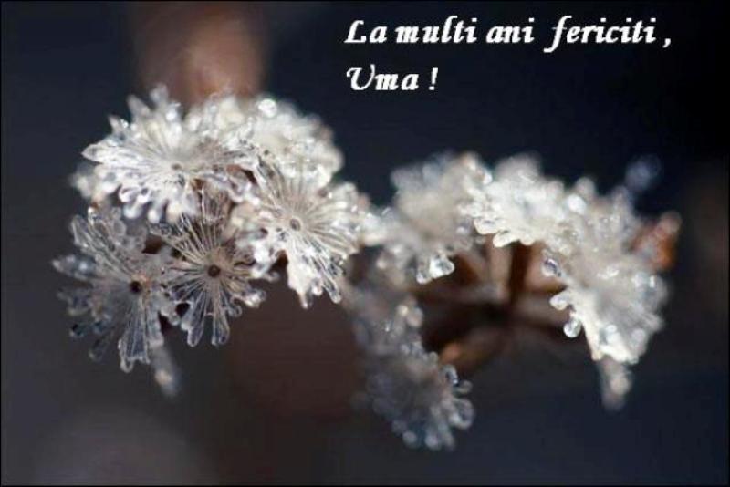 Imagine atasata: monthly_12_2014/post-48-14183848407738.jpg