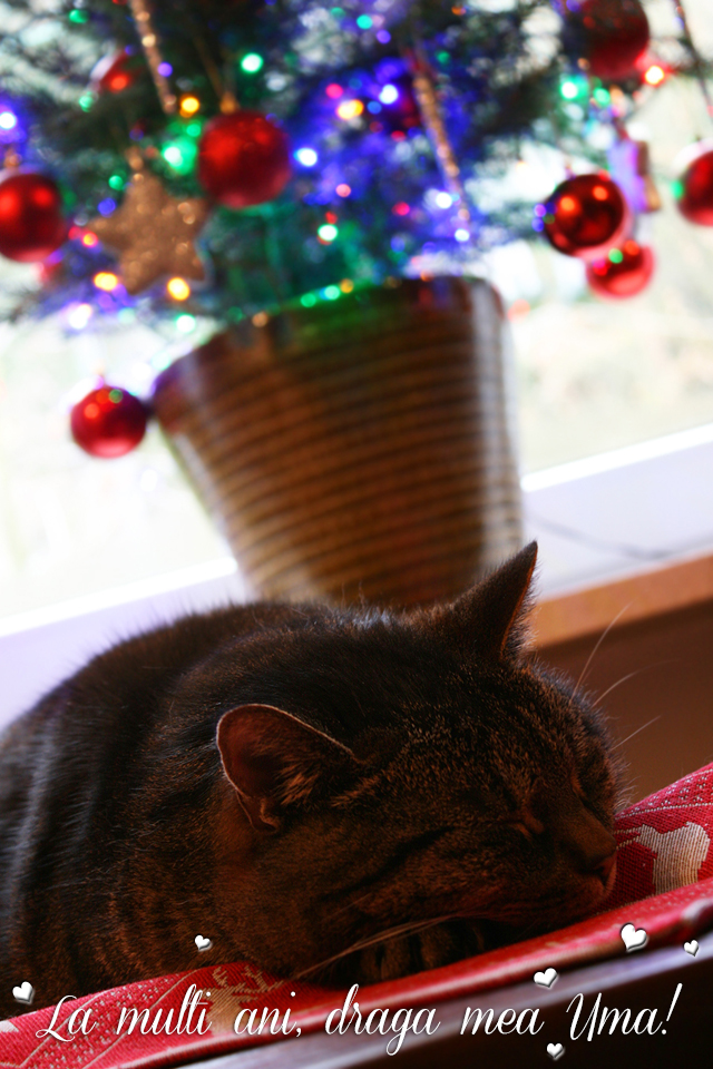 Imagine atasata: monthly_12_2014/post-5-14183636670314.jpg