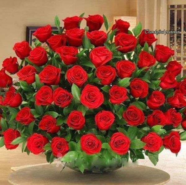 Imagine atasata: monthly_12_2015/post-405-14504707762965.jpg