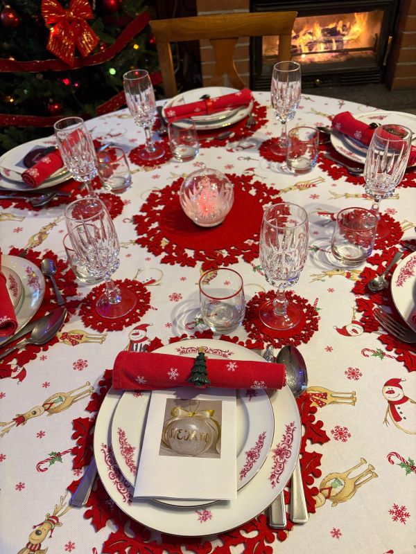 Imagine atasata: monthly_12_2025/post-4-0-66390700-1766696969.jpg